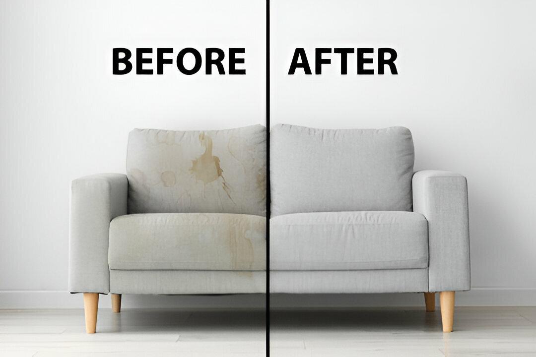 Sofa & Upholstery Cleaning Service